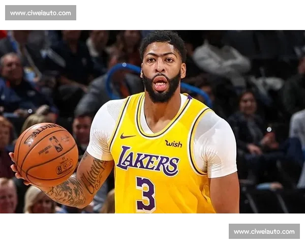 NBA总决赛湖人对决热火戴维斯统治攻防引领冠军之路关键表现解读