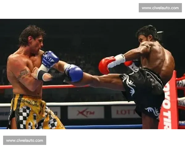 播求对决安迪苏瓦巅峰站立格斗王者时代的经典之战世界级传奇荣耀碰撞